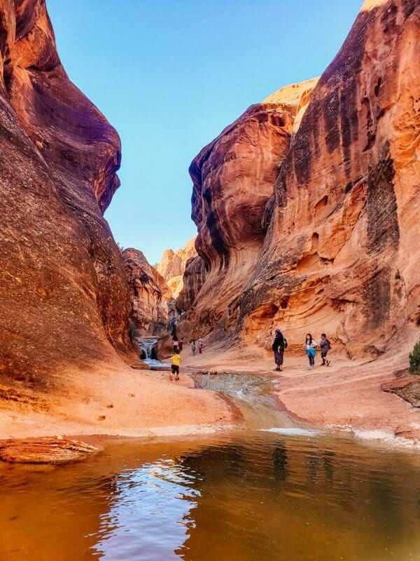 people standing in a canyon