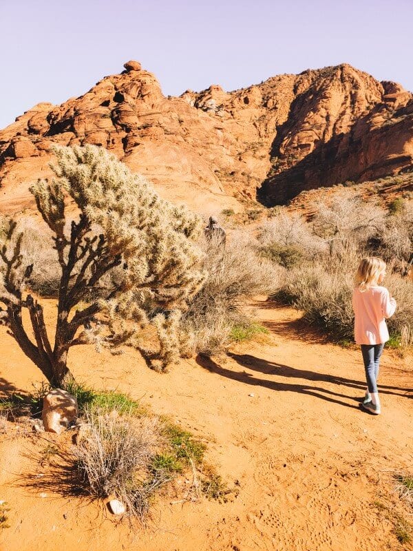 girl walking through a desert