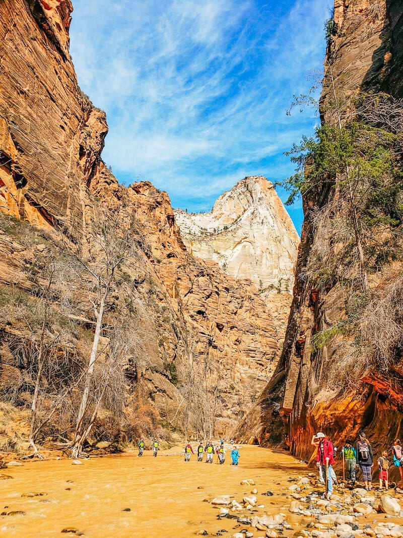 hiking the narrows, zion national park
