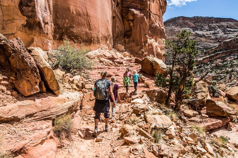people walking on a rocky trail