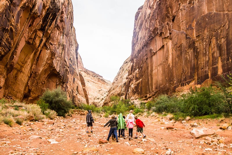 Grand Wash Trail - Best hikes in Capitol Reef National Park