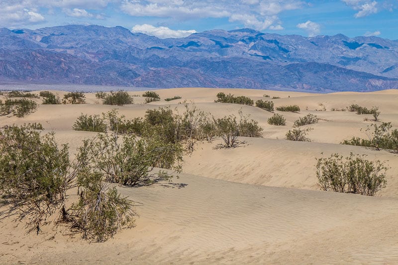 Mesquite sand dunes - fun things to do in death valley with kids