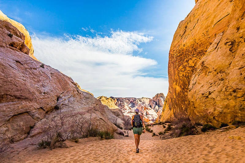 person walking on sandy trail past boulders White domes hike valley of fire
