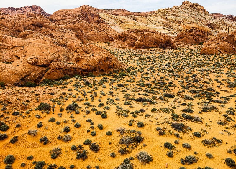 desert vista with orange rocks