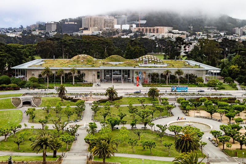 The living roof on the California Academy of Science