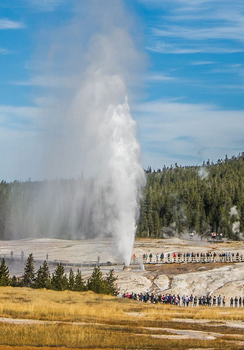 Beehive Geyser spraying up in the air