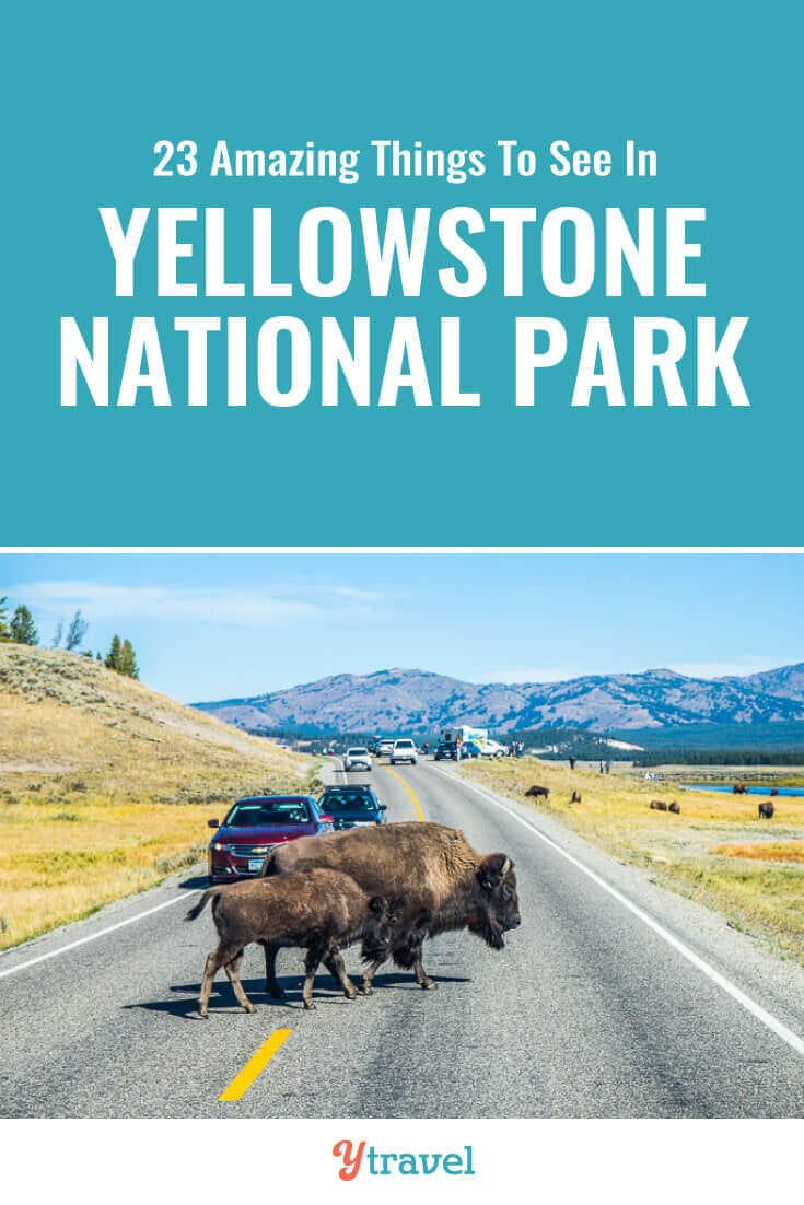 Researching a trip to Yellowstone? Check out this list of 23 incredible things to do in Yellowstone National Park including hot springs, geysers, wildlife spotting, hikes, scenic drives and much more. | Wyoming | National Park | USA Travel | Yellowstone Tips | Family Travel | National Parks | Road Trip | Road Trips.