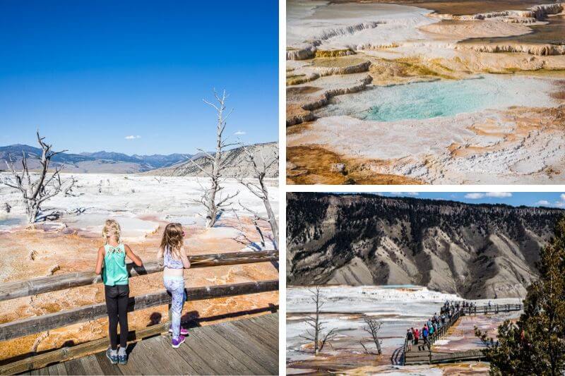 pools of geothermal waters at Mammoth Hot Springs,