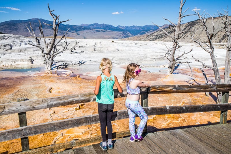 23 INCREDIBLE THINGS TO DO IN YELLOWSTONE NATIONAL PARK
