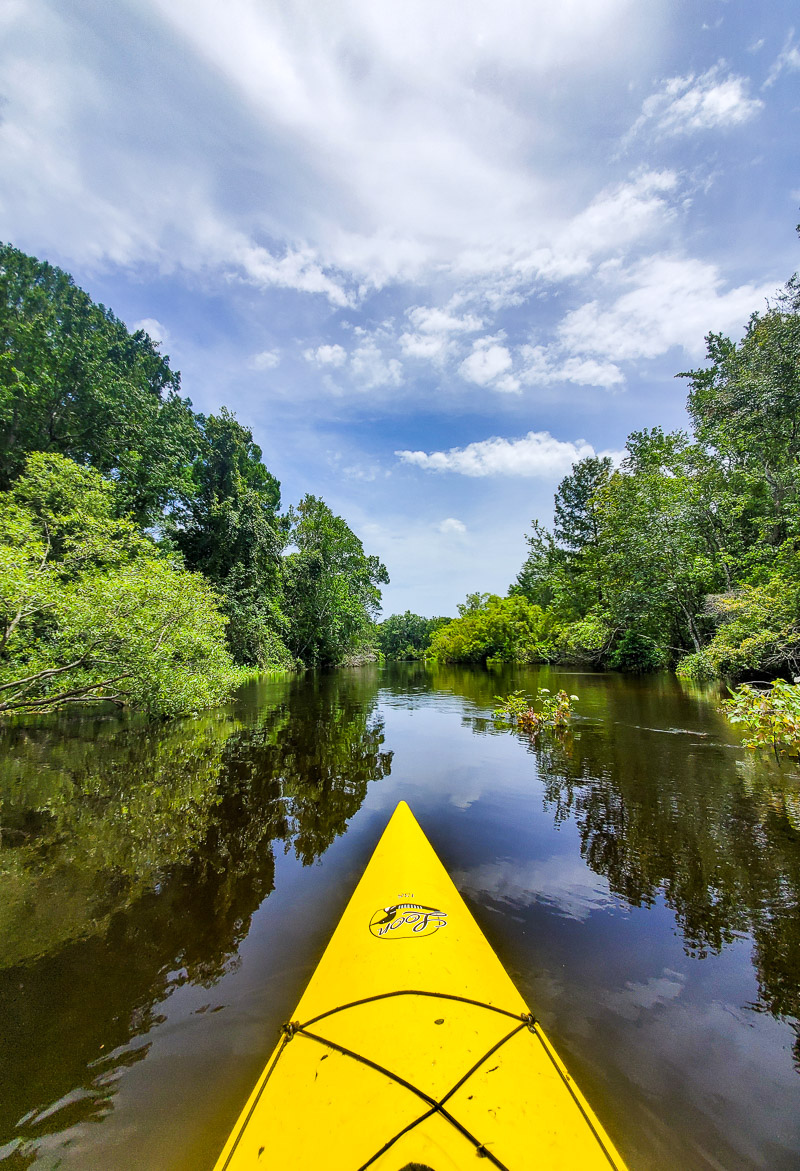 kayak in water surrounded by trees