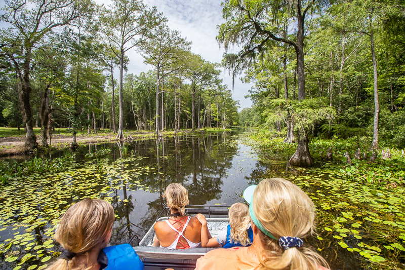 people on an air boat surrounded by trees