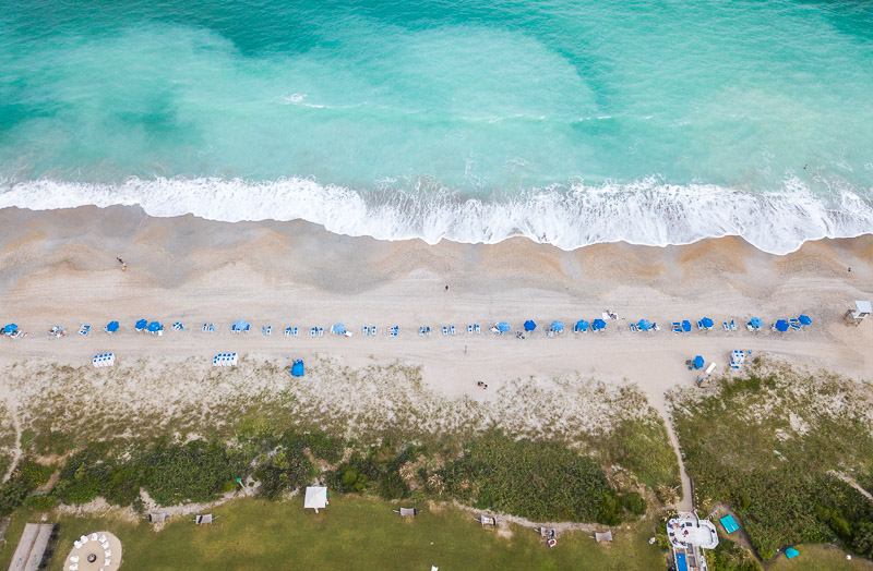 beach with rows of blue umbrellas