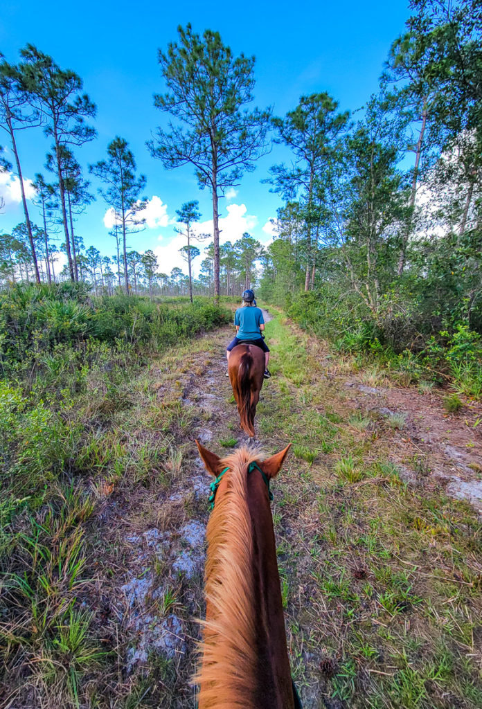 woman riding horse with Greenridge Stables in Florida