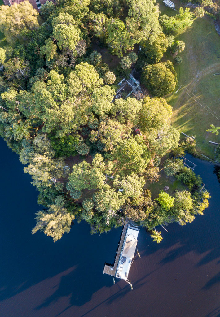 overhead view of trees