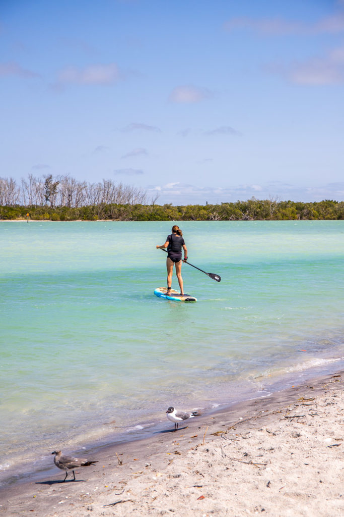 person stand up paddle boarding on the water