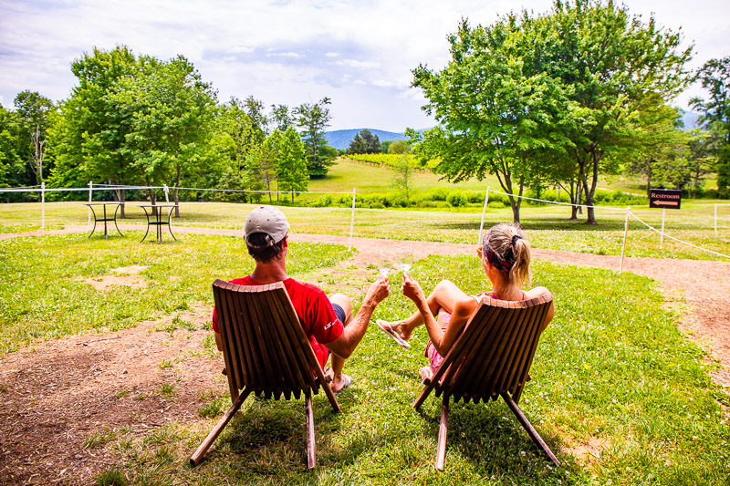 man and woman sitting on chairs clinking glasses looking at the vineyard view