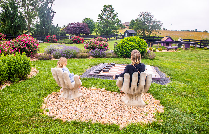 people sitting on chairs in a garden