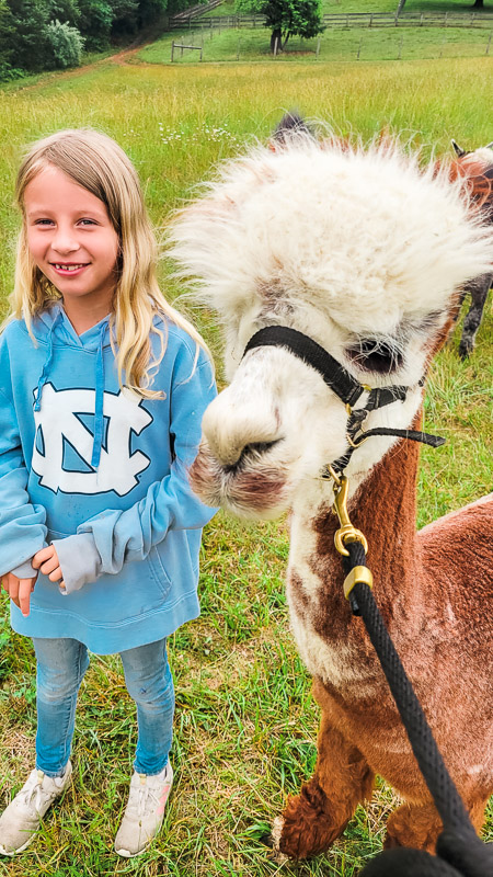 girl smiling next to alpaca