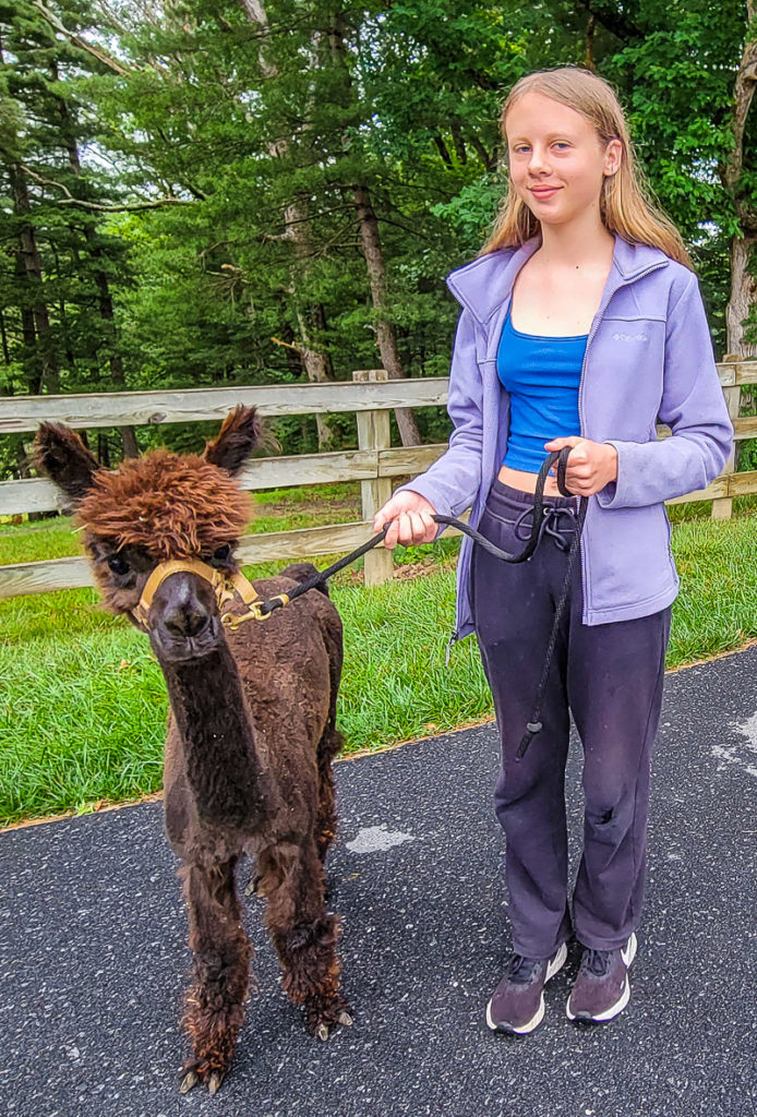 girl next to alpaca