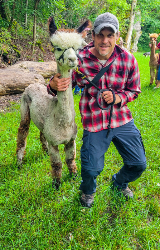 man posing with an alpaca
