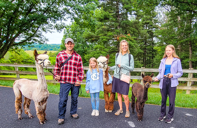 family smiling at camera next to alpacas