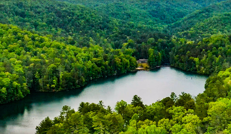 forest surrounding Unicoi Lake, GA