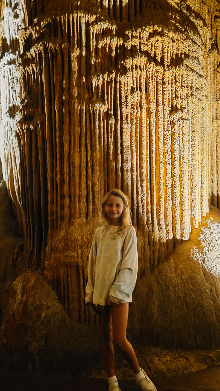 luray caverns giant redwood