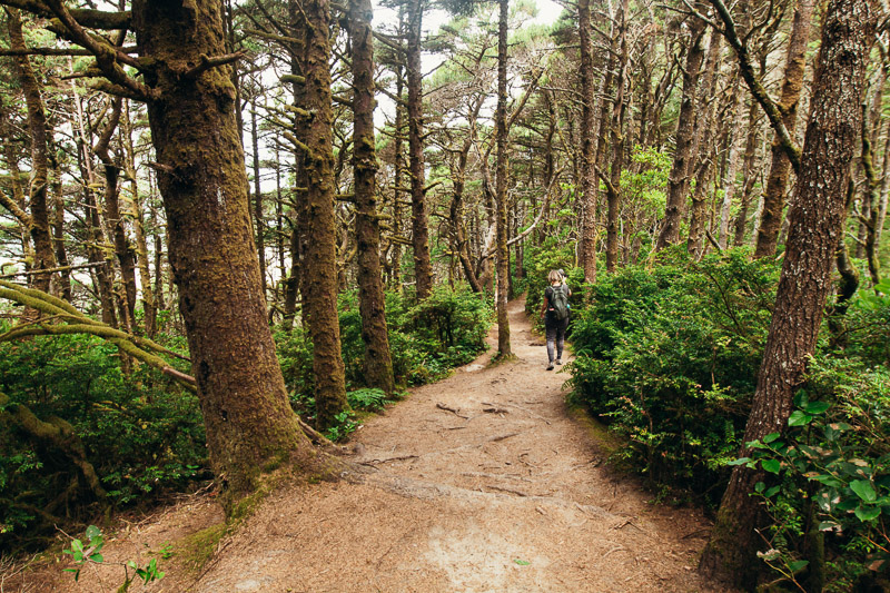 Hobbit Trail Hike Oregon coast