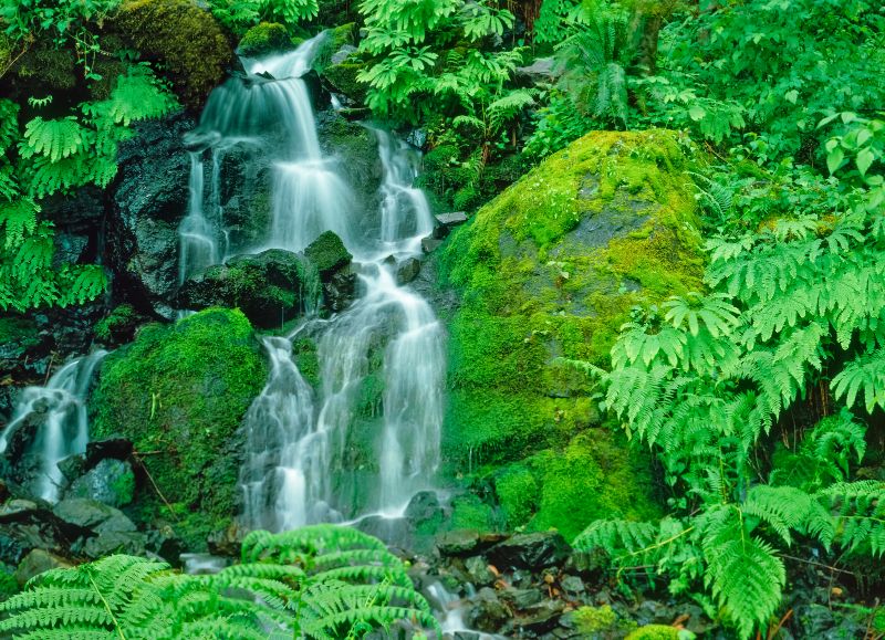 Little Redwood Falls Brookings Oregon