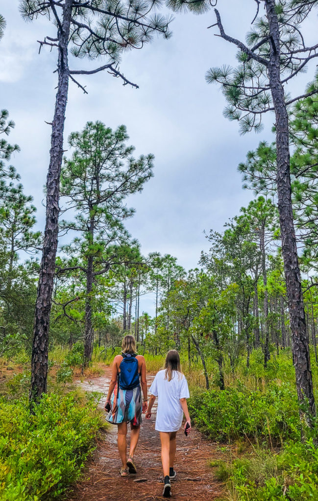 people walking through a wooded area