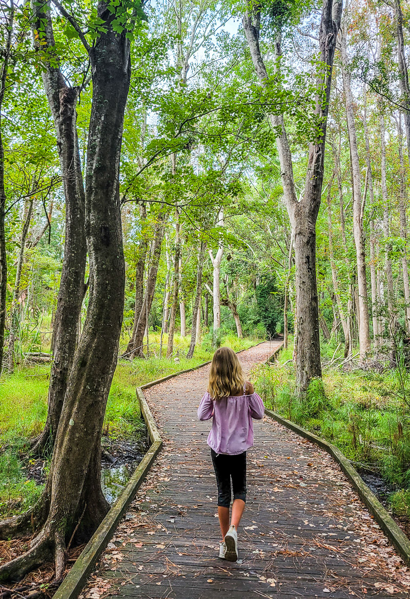 girl walking on boardwalk through forest in Carolina beach state park