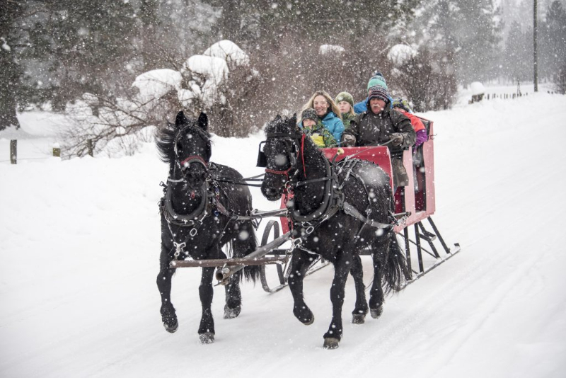 Sleigh rides in Idaho winter experience