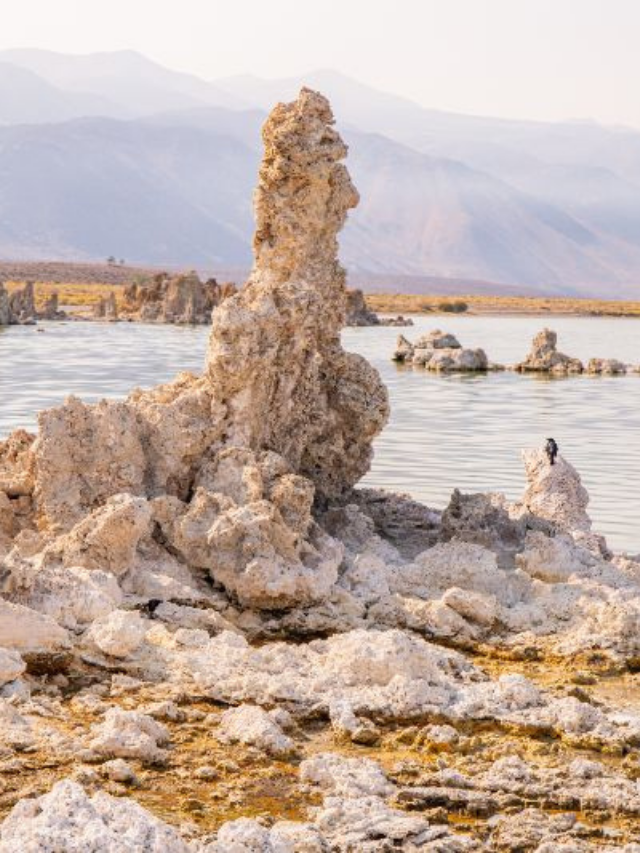 CALIFORNIA'S MONO LAKE AN ANCIENT DEAD SEA NEAR YOSEMITE PHOTO IMAGE
