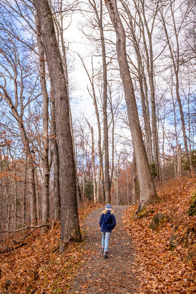 girl walking through a wooded area