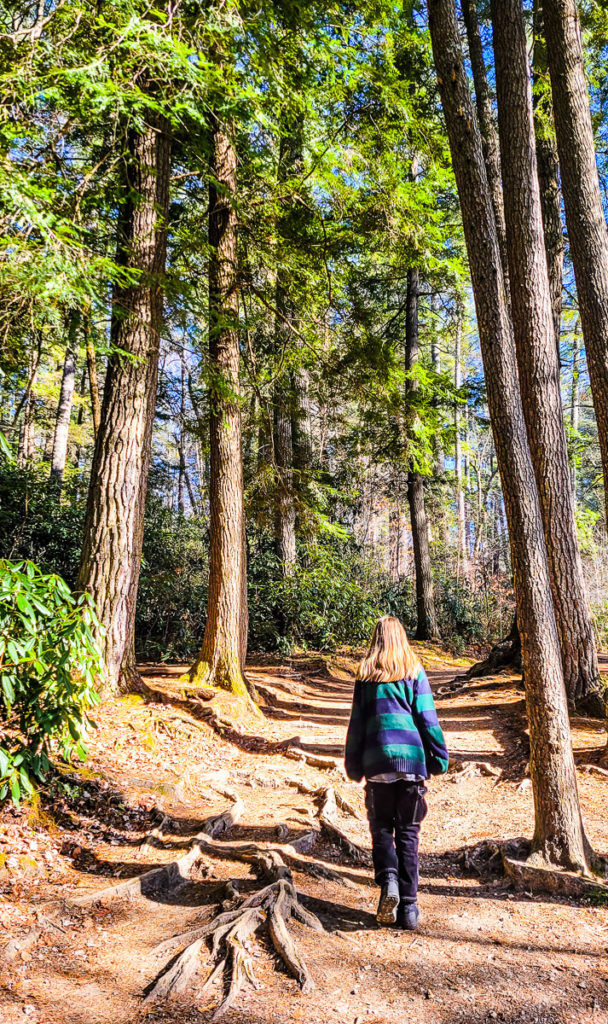 girl walking through a forest