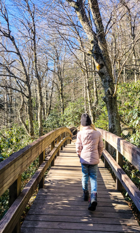 girl walking on a bridge through a wooded area