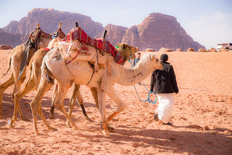 riding a camel in jordan
