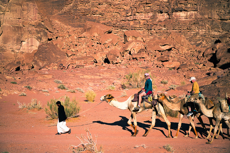 Bedouin leading camel pack in desert