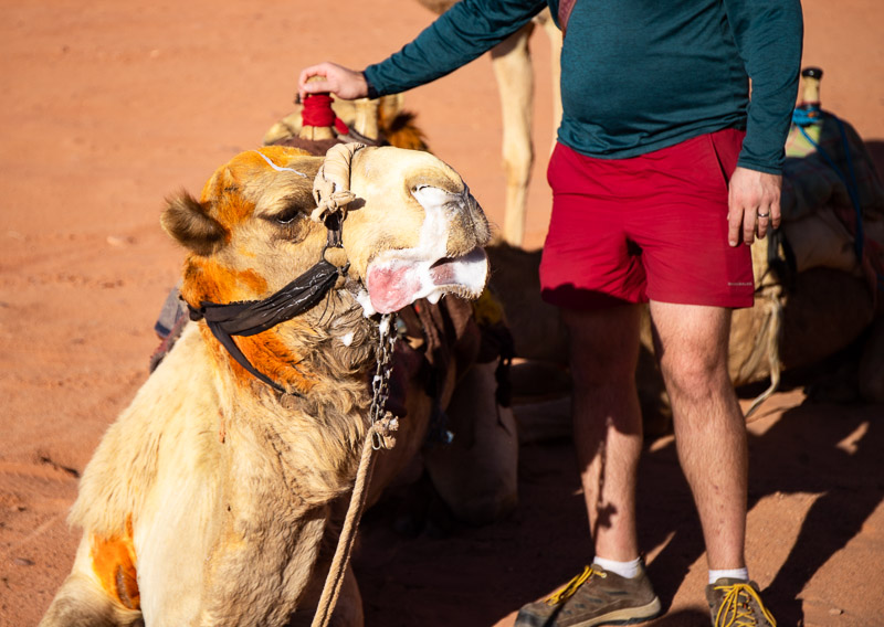 man next to a camel