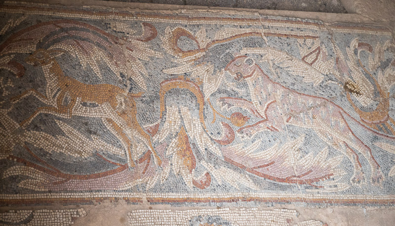 Hippolytus Hall mosaics of animals