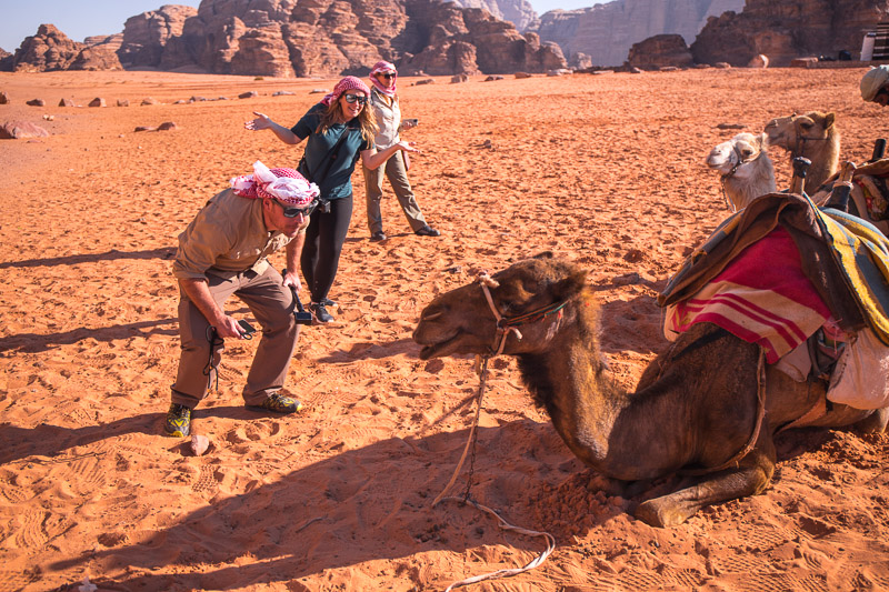 people standing next to camels 