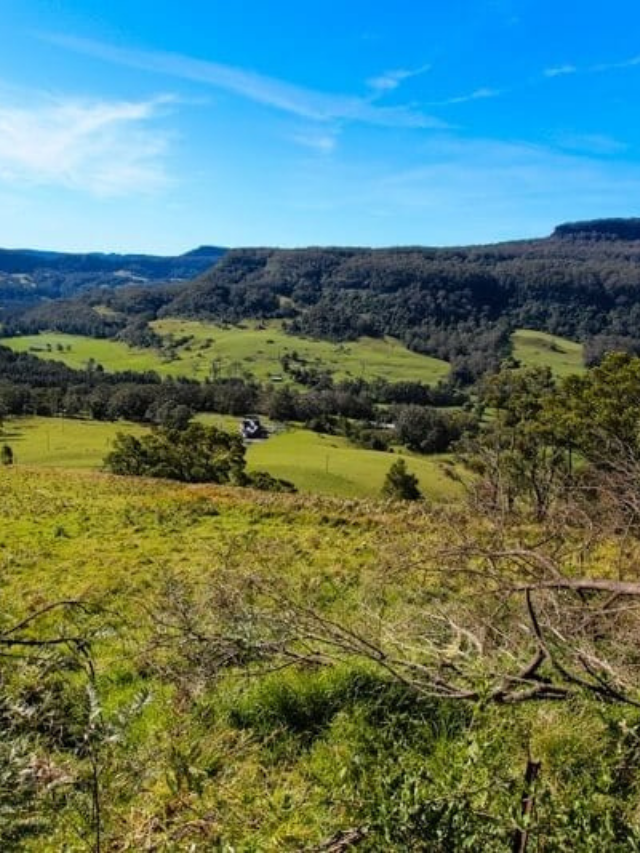 TOP 5 THINGS TO DO IN THE SOUTHERN HIGHLANDS OF NSW STORY