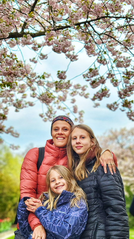 London cherry blossoms regents park
