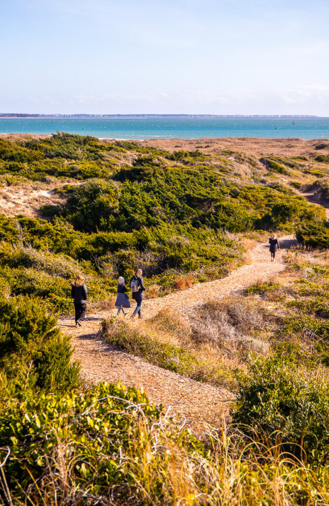 people walking on a trail to the beach