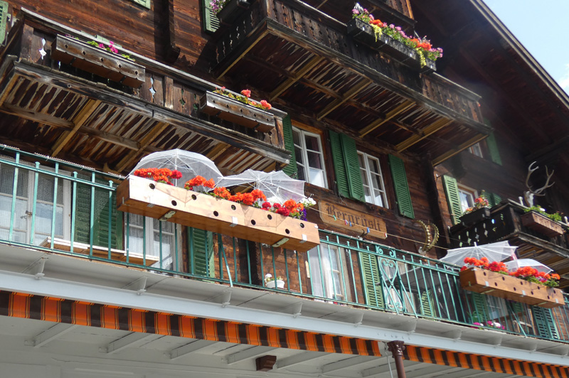 flower  boxes on a wooden building with red flowers and umbrellas covering them