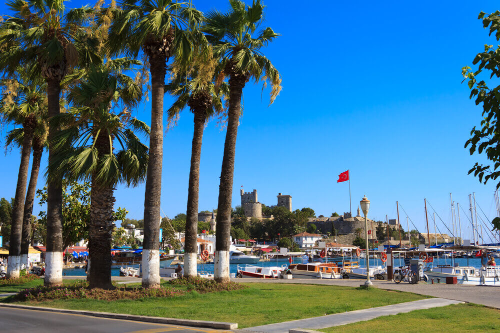 the bodrum marina with boats a castle ruins and palm trees
