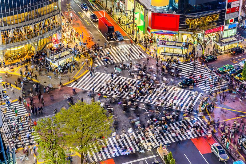 ariel view of scores of people crossing Shibuya Crossing tokyo