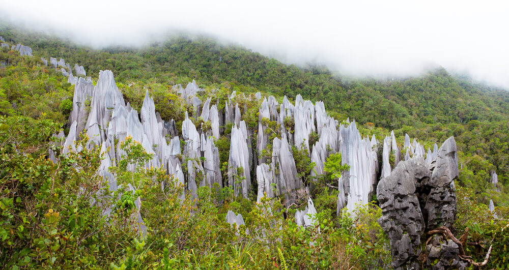 jagged limestone rock of Gunung Mulu National Park