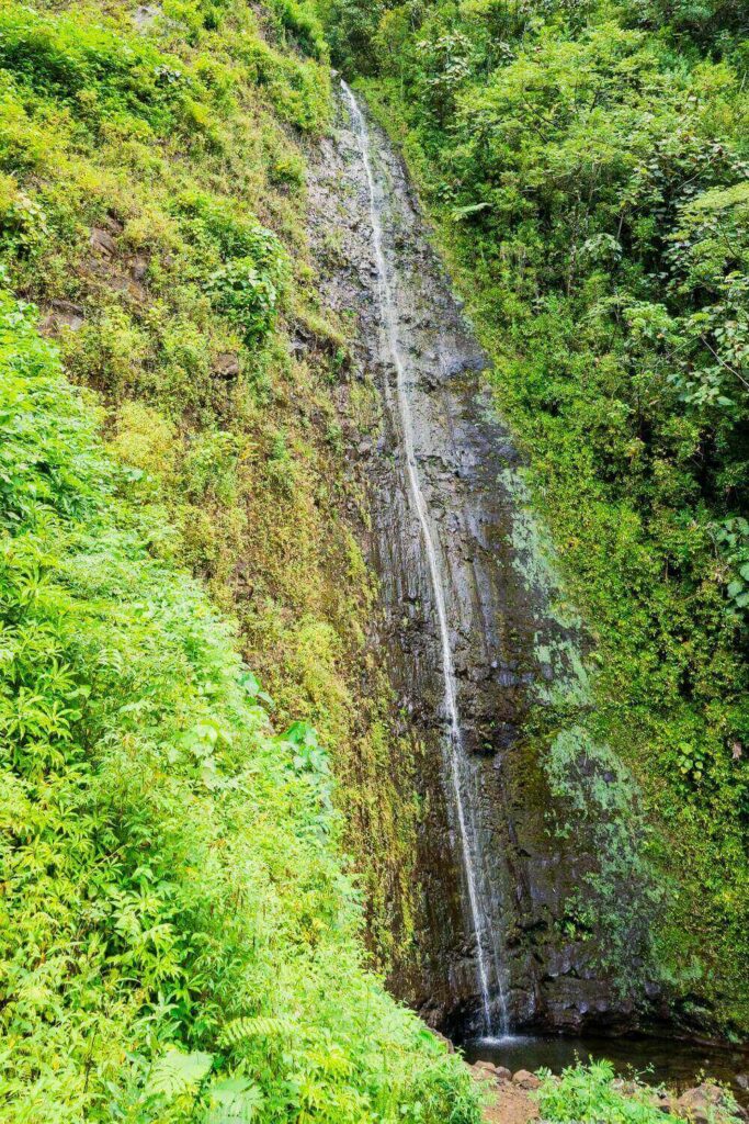 Manoa Falls cascading over a cliff surrounded by lush scenery