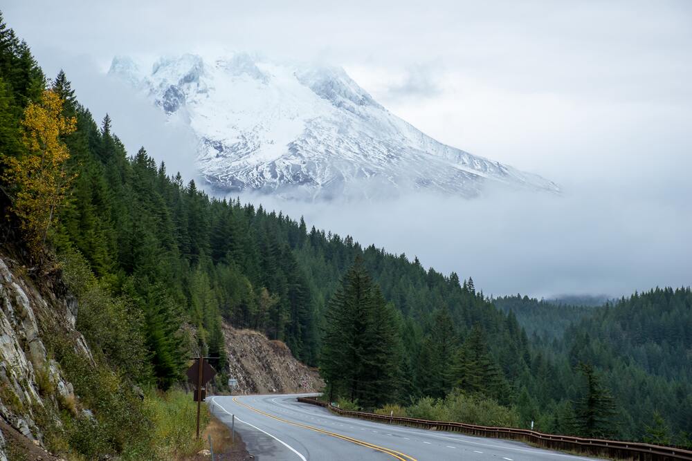 road winding through forest with snow covered mountains in the background